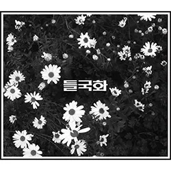 들국화 album cover