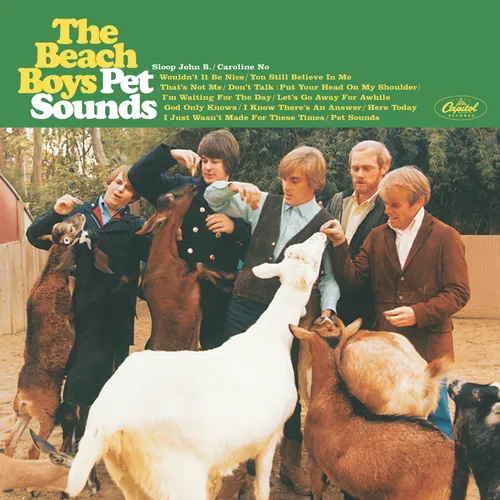 The Beach Boys album cover